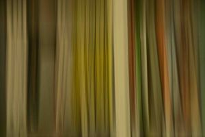 Streifenbild-02-netz