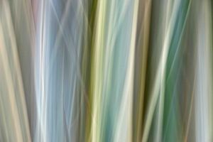 Streifenbild-03-netz