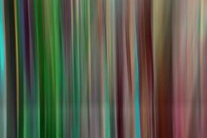 Streifenbild-05-netz