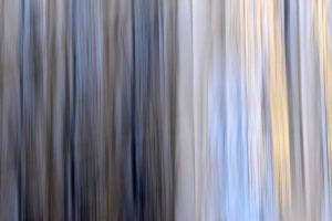 Streifenbild-06-netz