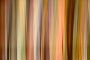 Streifenbild-07-netz