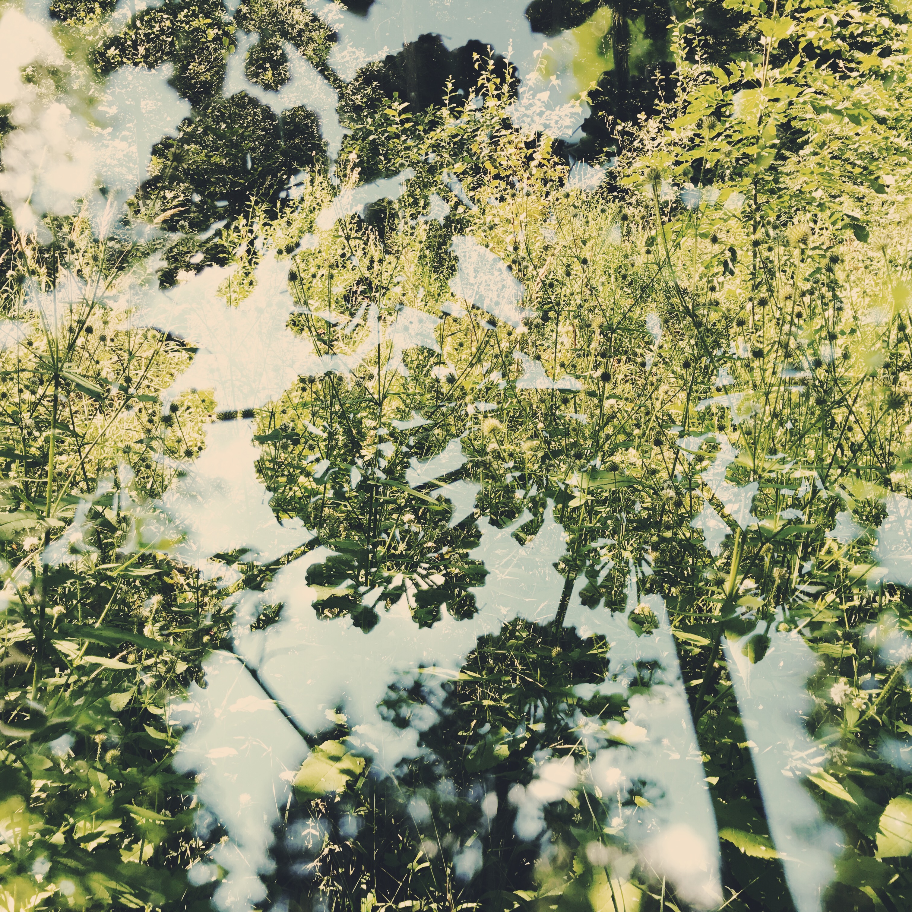 HipstamaticPhoto-524326472.209165