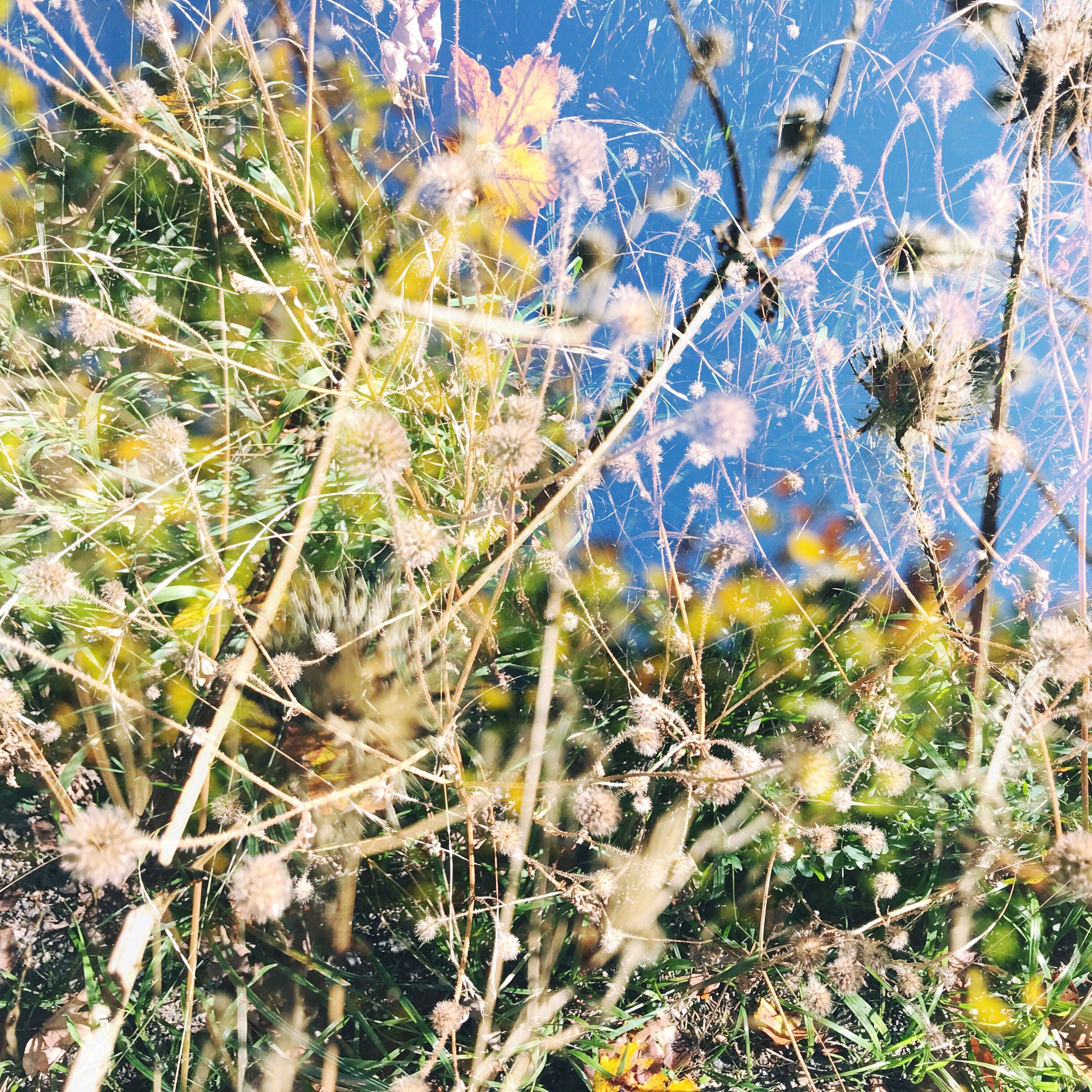 HipstamaticPhoto-529763249.428431