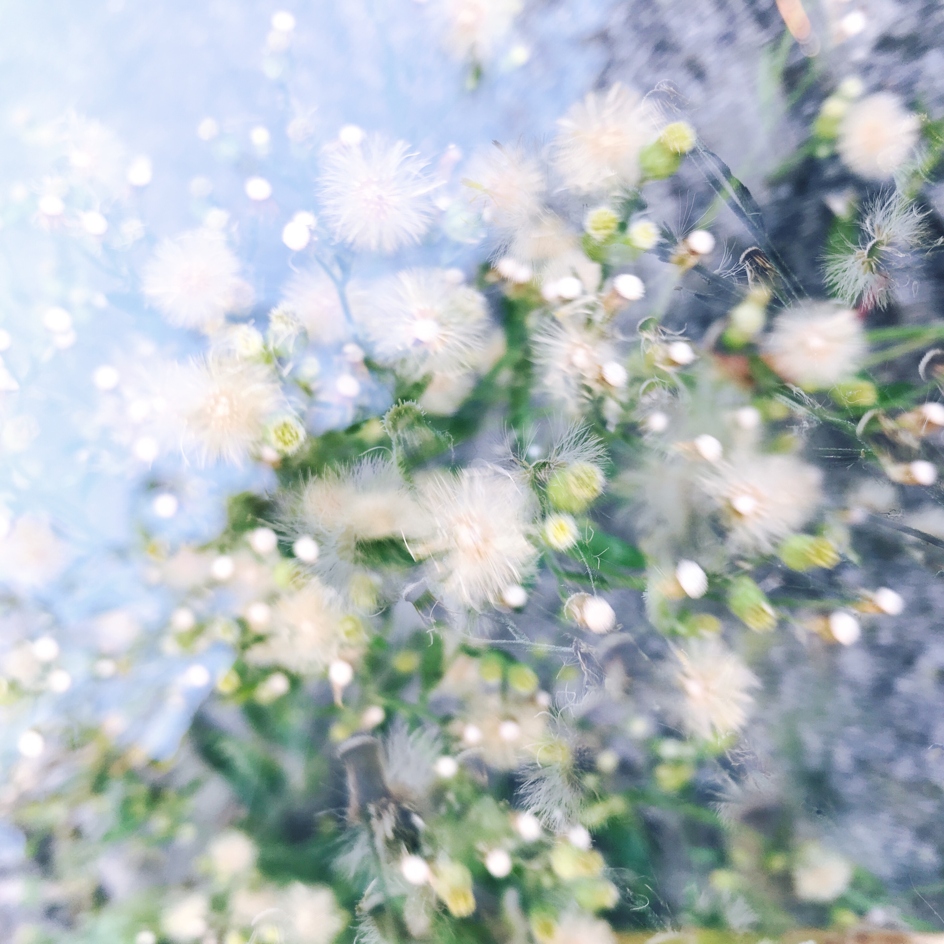 HipstamaticPhoto-530011789.394665