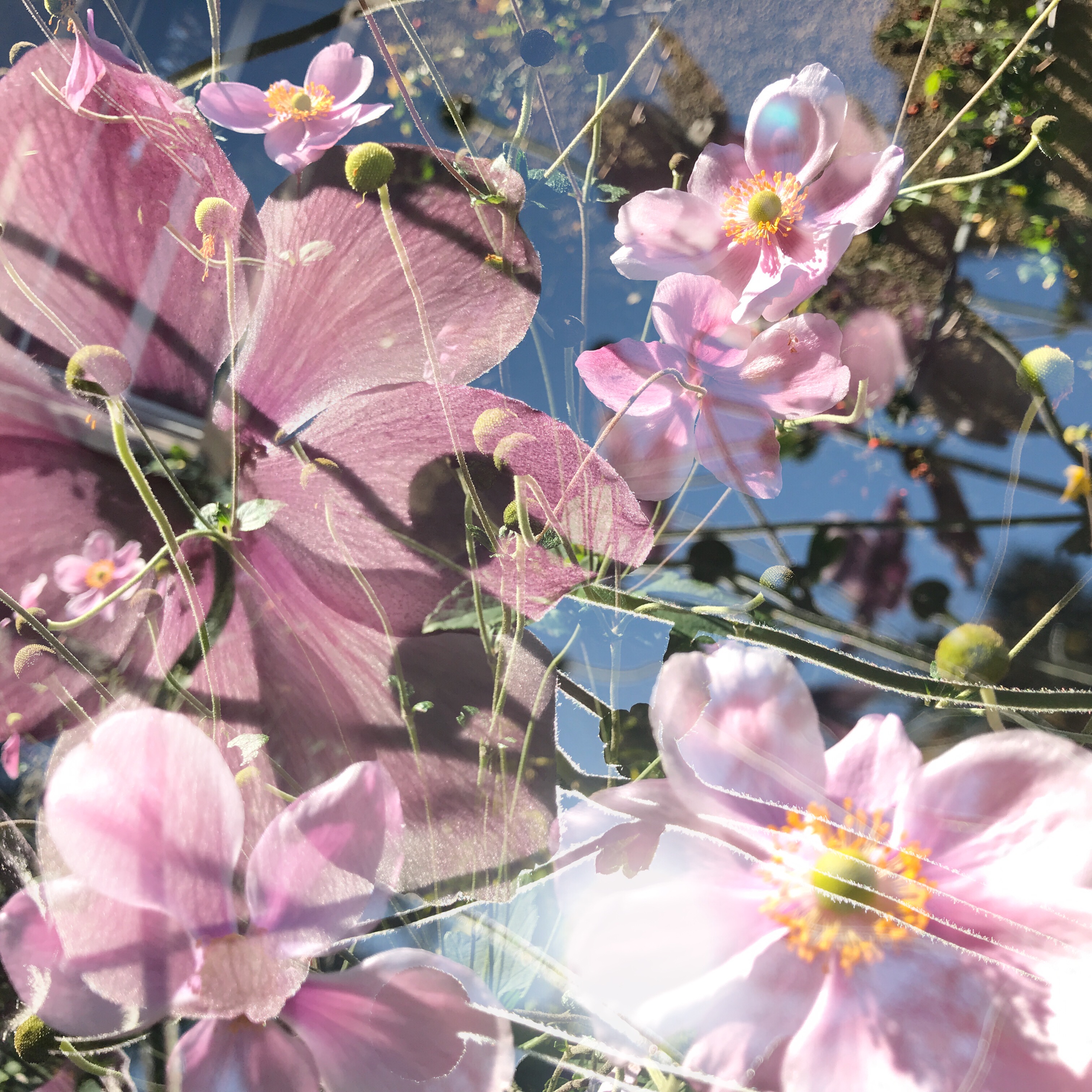 OriginalPhoto-530011659.769968