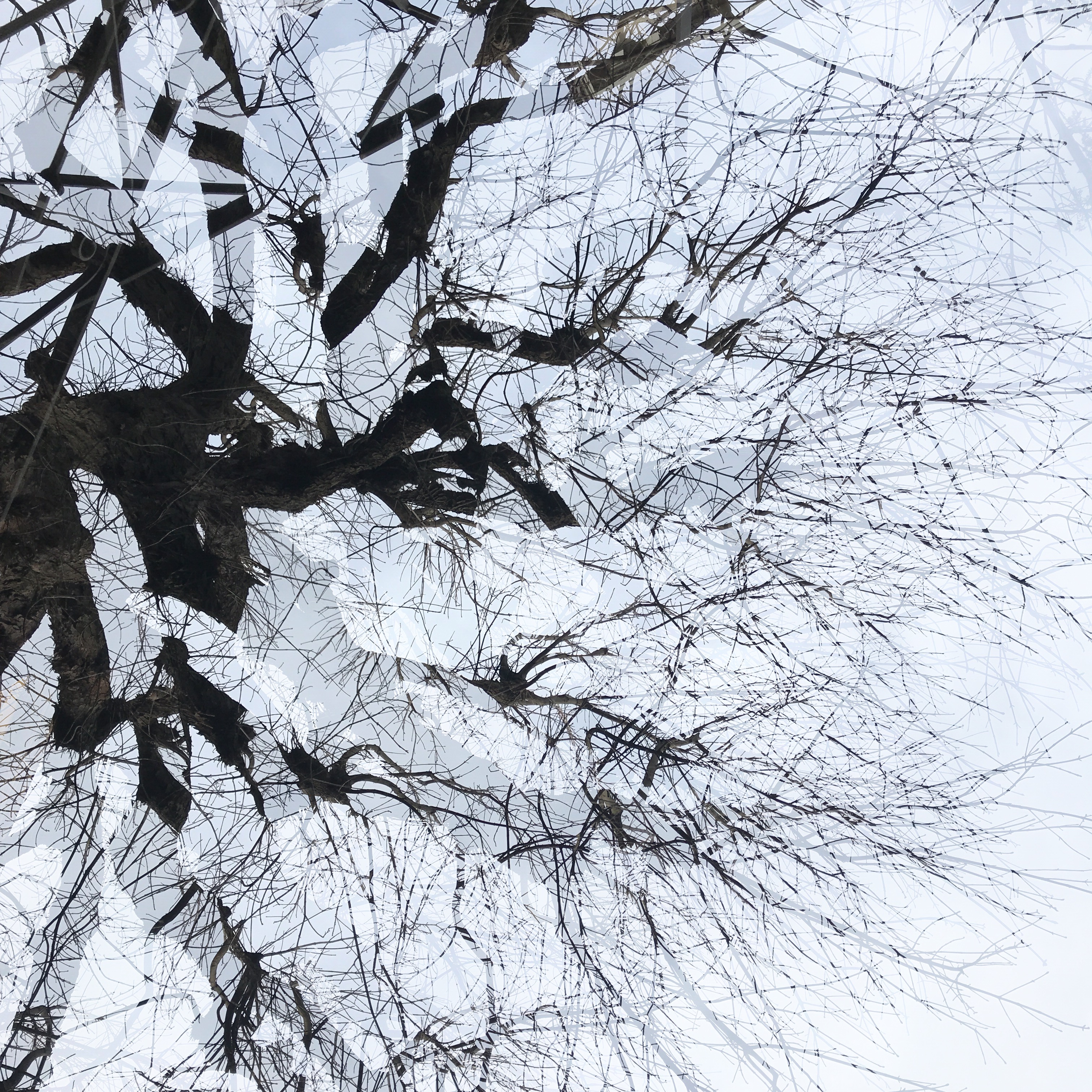 OriginalPhoto-537198595.766560